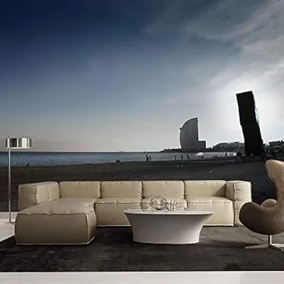 Barcelona Spain – Removable Wall Mural | Self-Adhesive Large Wallpaper – 66×96 inches