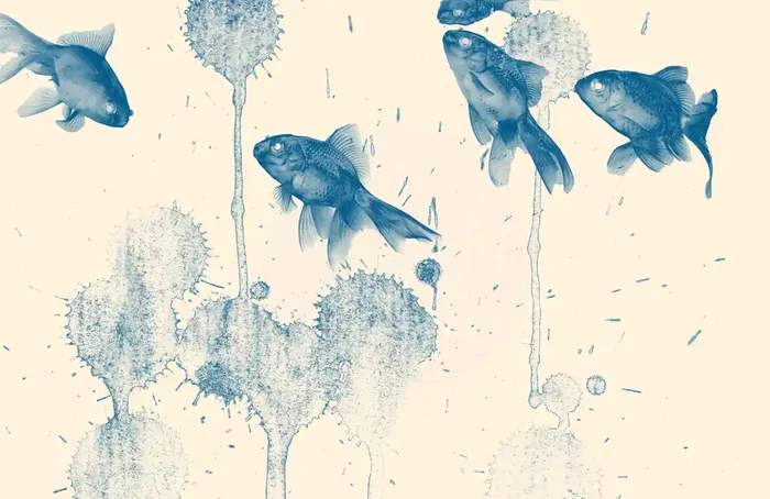 Blue Fish Mint by Michelle Decoupage Paper Decoupage For Furniture & Crafts — Flipping Fabulous