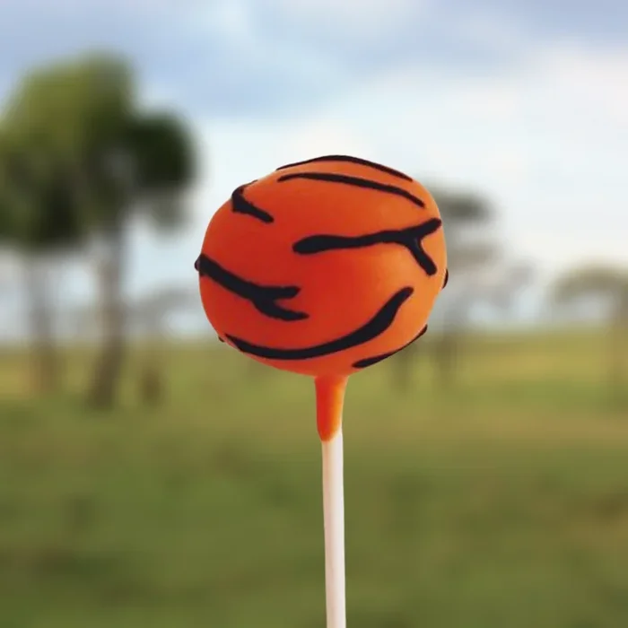 Tiger Print CakepopsCakepops