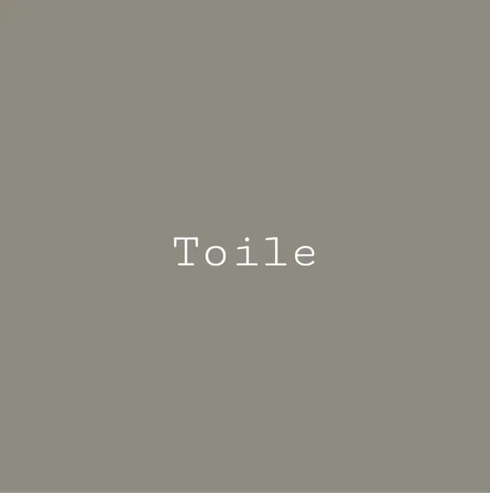 Toile ONE by Melange Paints Furniture Paint With Built In Primer & Topcoat — Flipping Fabulous