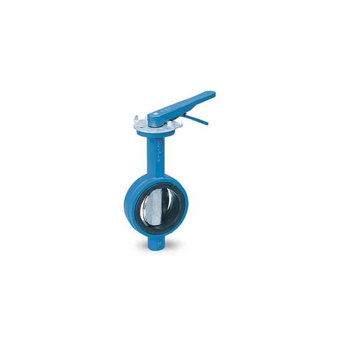 Watts DBF-04-111-1G-M2 2 Valve