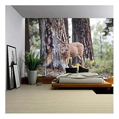 Wild Animal of Deer in The Forest – Removable Wall Mural | Self-Adhesive Large Wallpaper – 100×144 inches